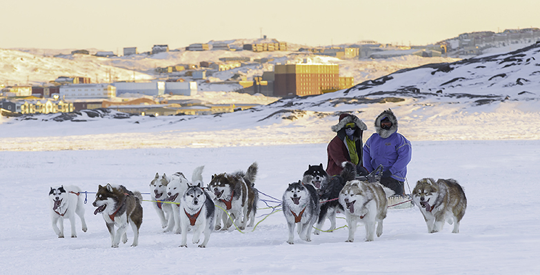 Dog Sledding Outside of Iqaluit