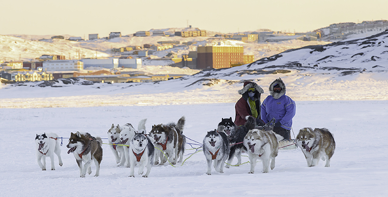 Traîneau à chiens à l'extérieur d'Iqaluit