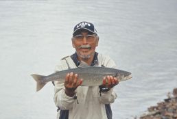 Fresh Catch