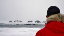 Watching a Narwhal whale pod in open water